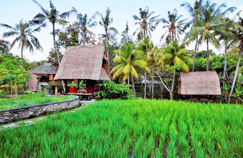 Pengosekan Hotel | Arma Museum & Resort