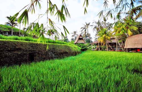 Pengosekan Hotel | Arma Museum & Resort