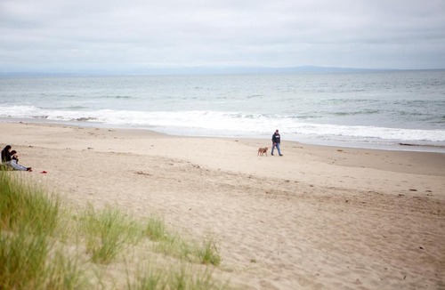 Pajaro Dunes Apartment | Beach Condo Shorebirds 11