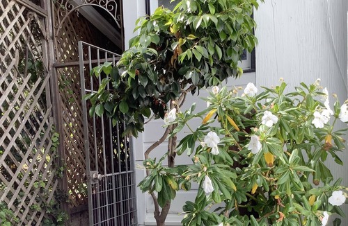 Beach Hill - Beach Flats Bed & Breakfast | Bed & Breakfast at the Beach