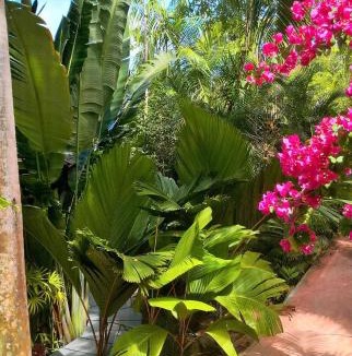 Mahe Island Villa | Bois Joli