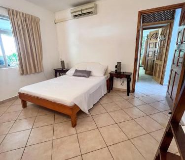 Beau Vallon Villa | Bottle Palm Villa