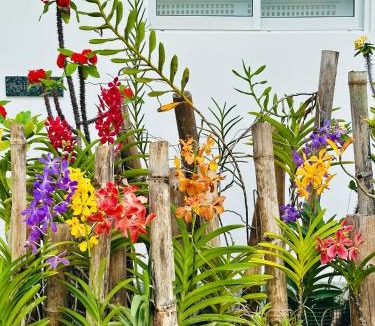 Anse Kerlan Villa | Cap Jean Marie Beach Villas