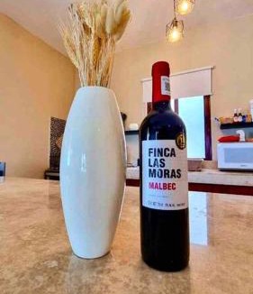 Isla Holbox Villa | Casa Libelula Beachfront House