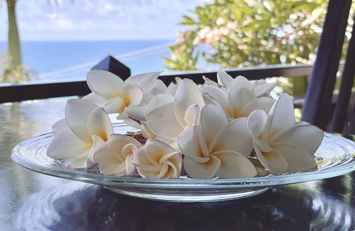 Anse Royale Apartment | Chalets BougainvillenStandard Studio with Sea View