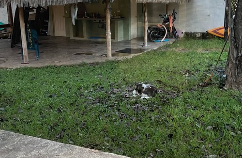 Cancun House | Charming country house in beautiful Cancún with WiFi, AC