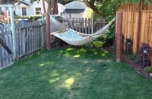 Eastside Santa Cruz Cottage | Charming & Private Santa Cruz Cottage 3 Blocks from the Beach