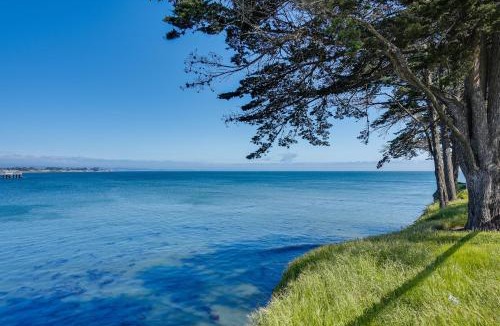 Westside Santa Cruz Apartment | Charming Santa Cruz Studio with Private Hot Tub