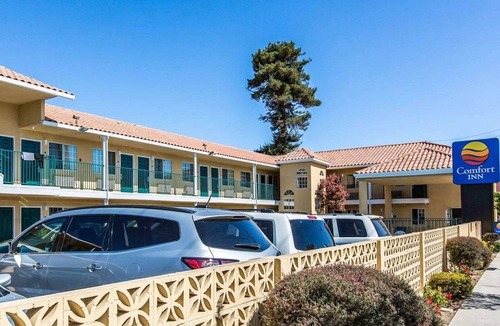Beach Hill - Beach Flats Hotel | Comfort Inn Boardwalk