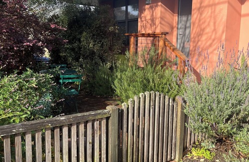 Upper Seabright Apartment | Contemporary Studio in Seabright, near Santa Cruz beaches and downtown