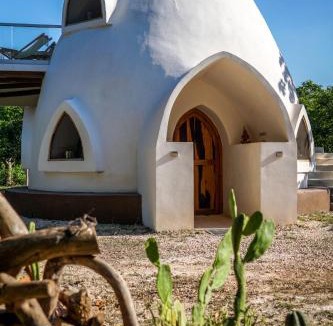 Chiquila Other | Dome @Jackfruit Jungle Paradise