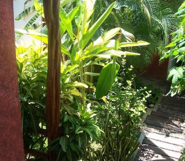 Centro - Supmza 001 Apartment | Elements of the Island