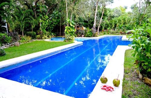 Villa Juarez Villa | GLASS JUNGLE VILLA with amazing green views -10 min DT