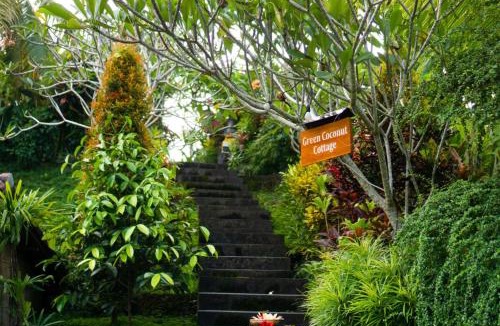 Mas House | Green Coconut Cottage