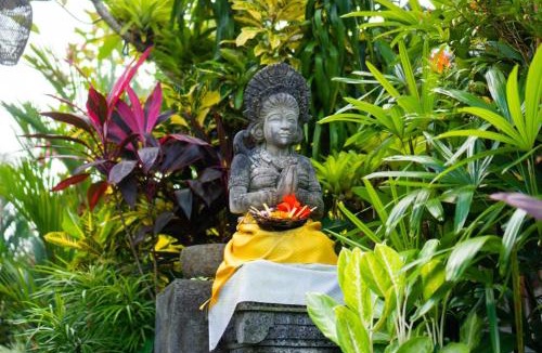 Mas House | Green Coconut Cottage