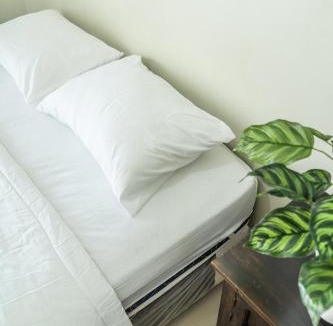 Buleleng House | Gumitish Guest House Singaraja