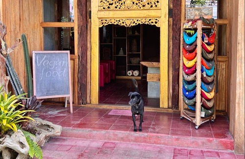 Candikuning Hostel | Hostel ∙ 8 guests