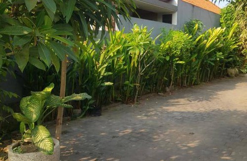 Babakan Hostel | Hostel ∙ 8 guests