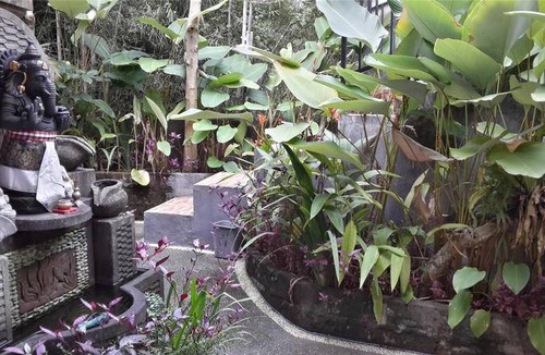 Ubud City-Centre Hostel | Hostel ∙ 8 guests