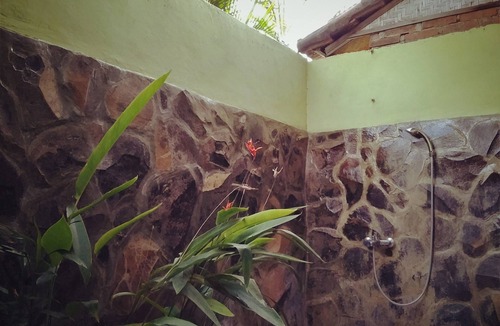 Tukad Mungga Bed & Breakfast | Huge room with open bathroom overlooking rice fields