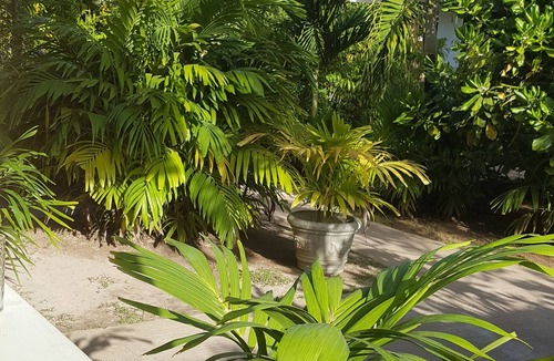 La Digue Villa | JASMIN VILLA - Les Chalets d'Anse Reunion - 2 to 4 persons