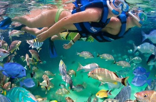 Puerto Juarez Condo | Kids Of All Ages Love Cancun's Best Resort