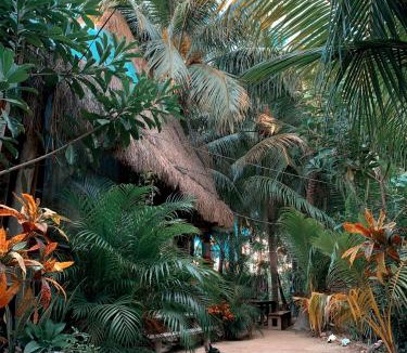 Downtown Holbox Hostel | Kin Hostal and Camping