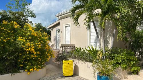 Blue Mountain Apartment | King Bedroom Suite at ParadiseOneVilla Turks and Caicos Islands