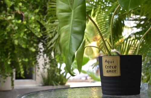 Isla Holbox Apartment | La casa del pescador Holbox