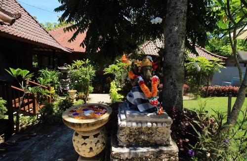 Mushroom Bay Resort | Lembah Bhucarya