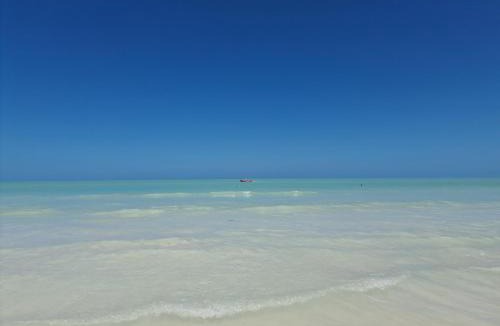 Downtown Holbox Other | Luna y Sol Glamping Holbox