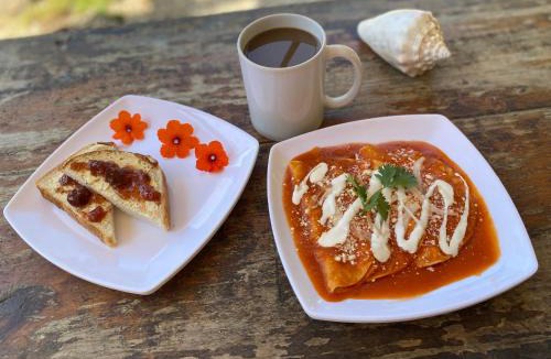 Isla Holbox House | Mapache Hostel & Camping