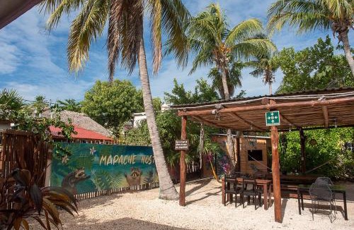 Isla Holbox House | Mapache Hostel & Camping