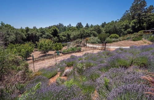 Day Valley Cottage | Monterey Bay Farm Retreat! Best access to Monterey & Santa Cruz attractions.
