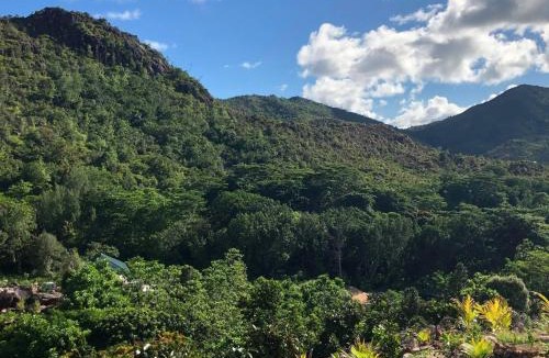 Anse Volbert Village Apartment | Ocean View Apartment