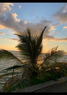 Anse La Mouche House | Orchid Sunset Guest House