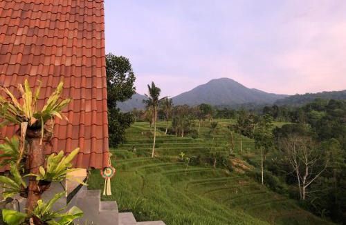 Penebel Cabin | Padi Bali Jatiluwih