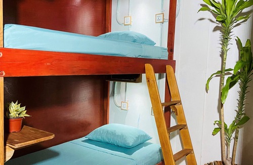 Downtown Holbox Hostel | Palapa amaizing
