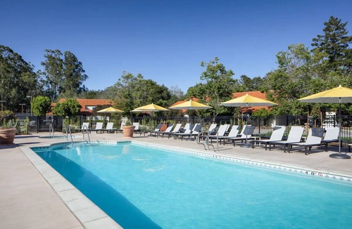 Live Oak Hotel | Peaceful Forest Suite: Enjoy Evening at Fireside & Outdoor Pool