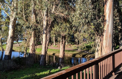 Opal Cliffs House | Pleasure Point Paradise! Beach and Lagoon Views!