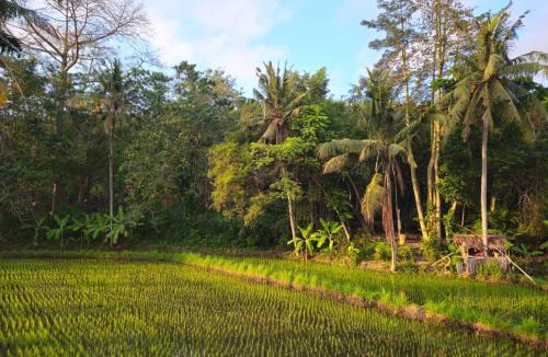 Sengkidu House | Pondok Diana Yuki