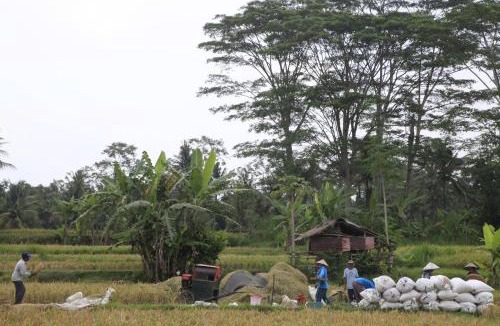 Melayang House | Pondok Gepokan Homestay
