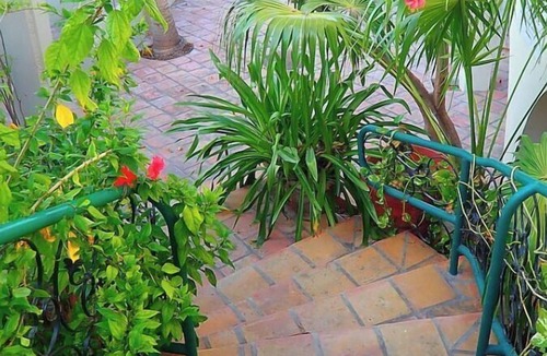 Cockburn Town Apartment | QUEEN ANGEL Beautiful Studio Suite, a few steps from the ocean,Grand Turk Island