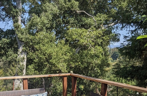 Rio del Mar Apartment | Relax and unwind minutes from the beach