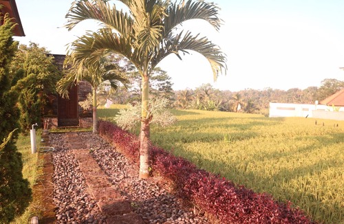 Tegallalang Villa | Ricefield view with natural vibes