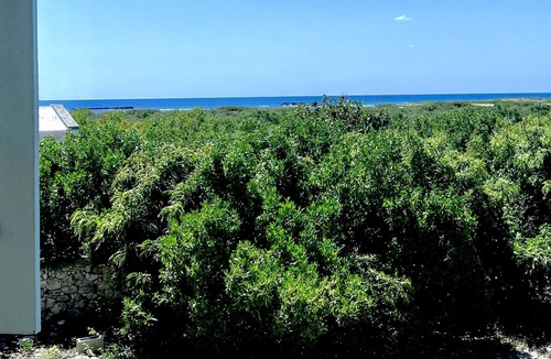 Salt Cay House | Salt Cay Charming House