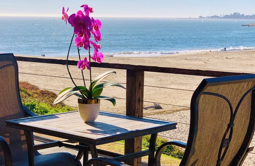 Opal Cliffs House | Sandy BEACHFRONT Surfside - at Corcoran Beach, Newly Remodeled w/HOT TUB!
