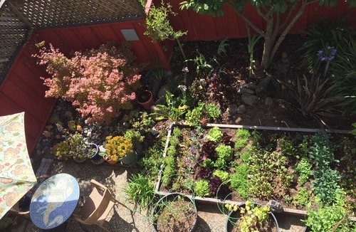 Rio del Mar House | Seascape Garden Studio Minutes From Ocean Or Redwoods