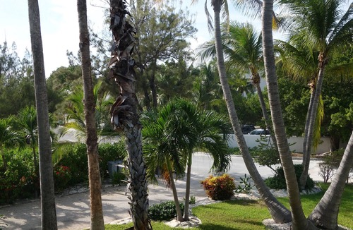 Grace Bay Apartment | South Fleetwood Grace Bay