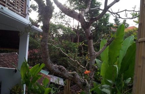 Ubud City-Centre House | Sun House